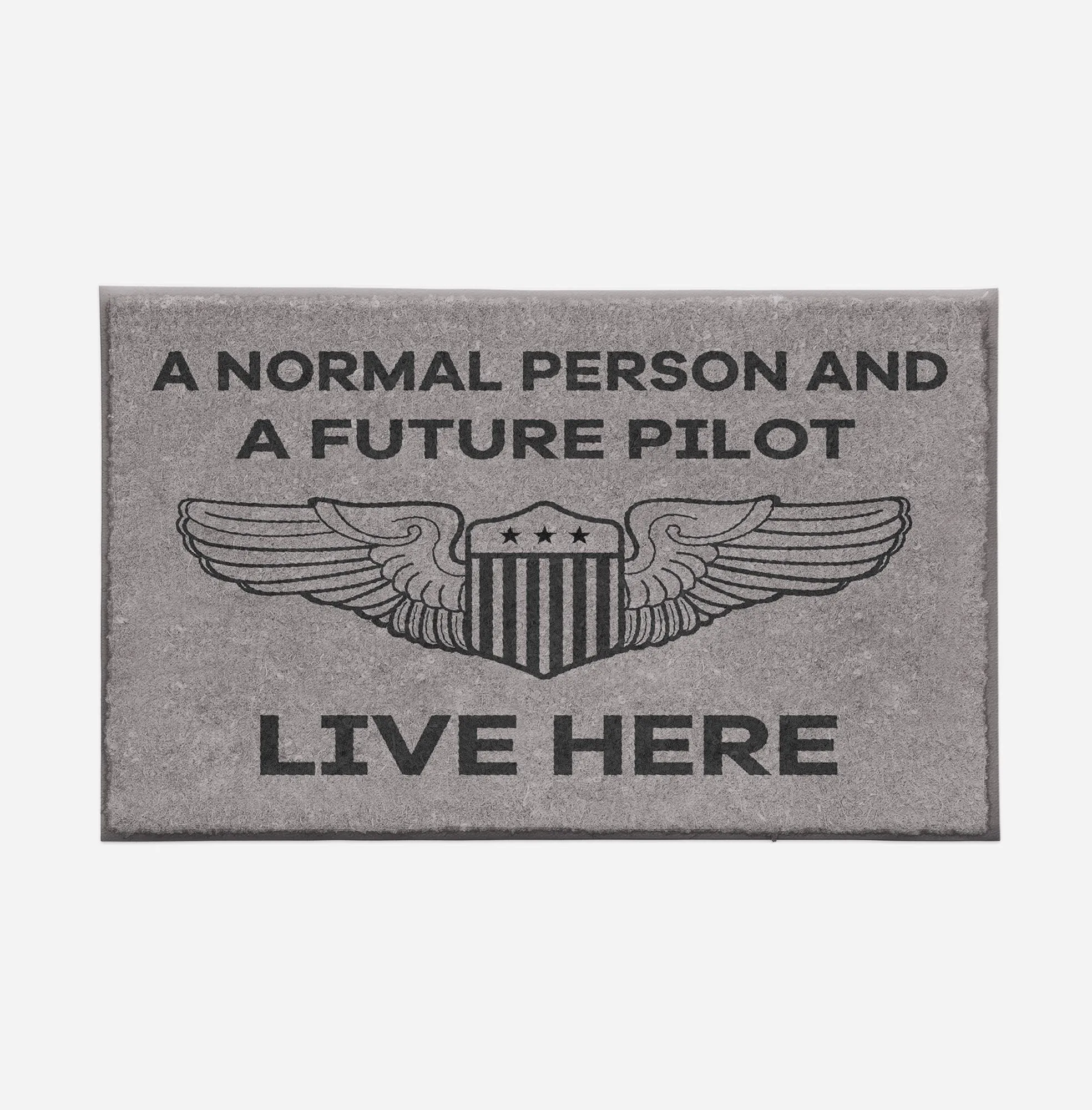A Normal Person and a FUTURE PILOT Live Here Designed Door Mats