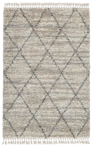 Abdalah Rug neutral everyday carpet