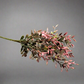 Abelia Beauty decorative home ornament