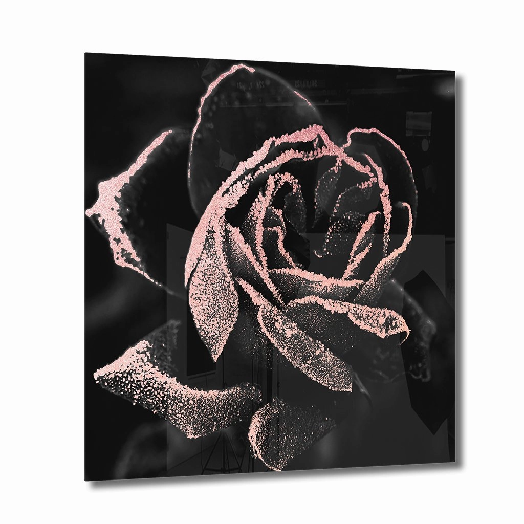 Abstract Rose Ros on Acrylic framed mural artwork