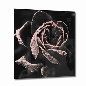 Abstract Rose Ros on Acrylic framed mural artwork