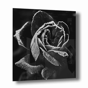 Abstract Rose Silver on Acrylic framed mural artwork