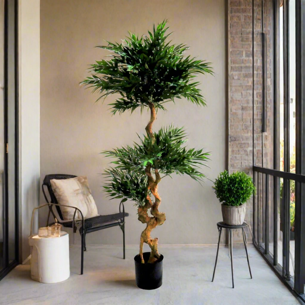 Acacia Tree Topiary