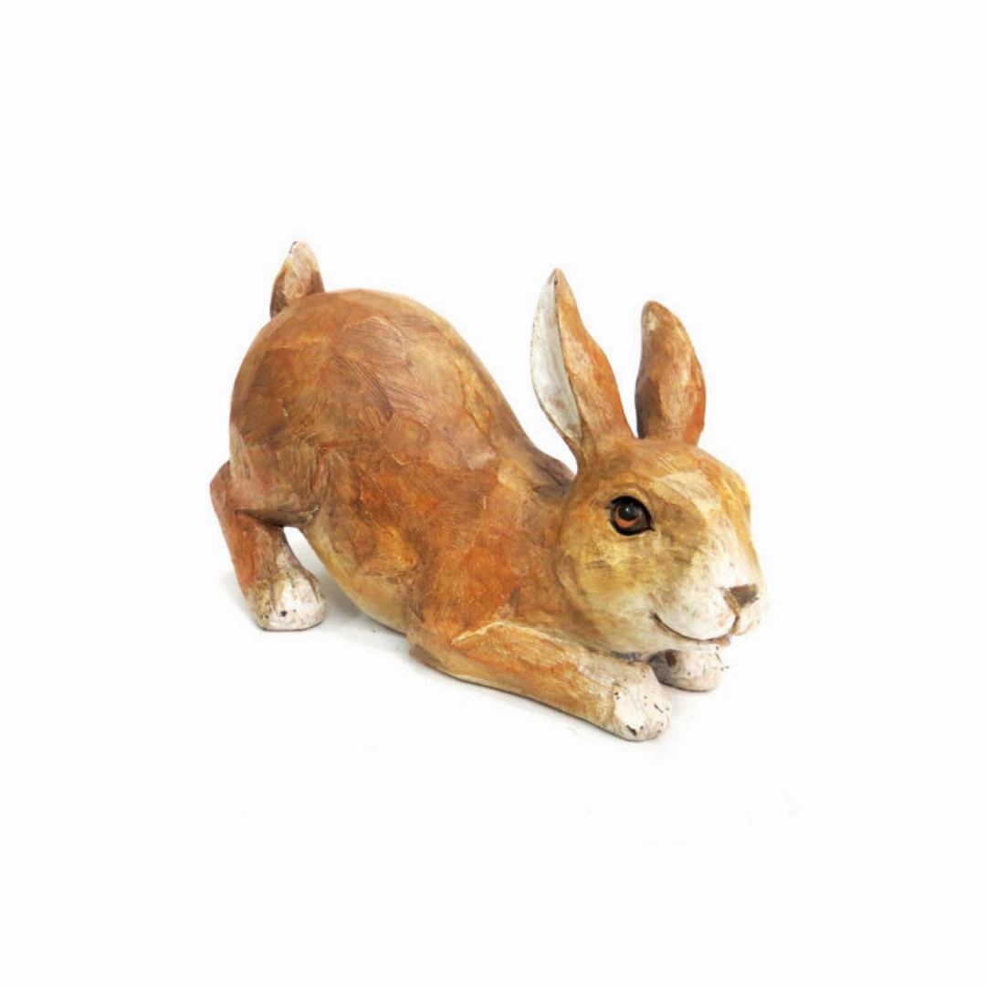 Achillies Bunny