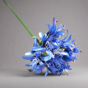 Agapanthus African Blue decorative home ornament
