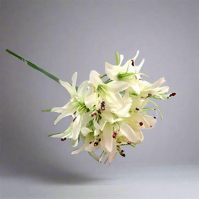 Agapanthus African White decorative home ornament