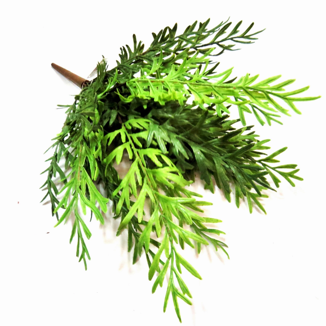 Antler Bush