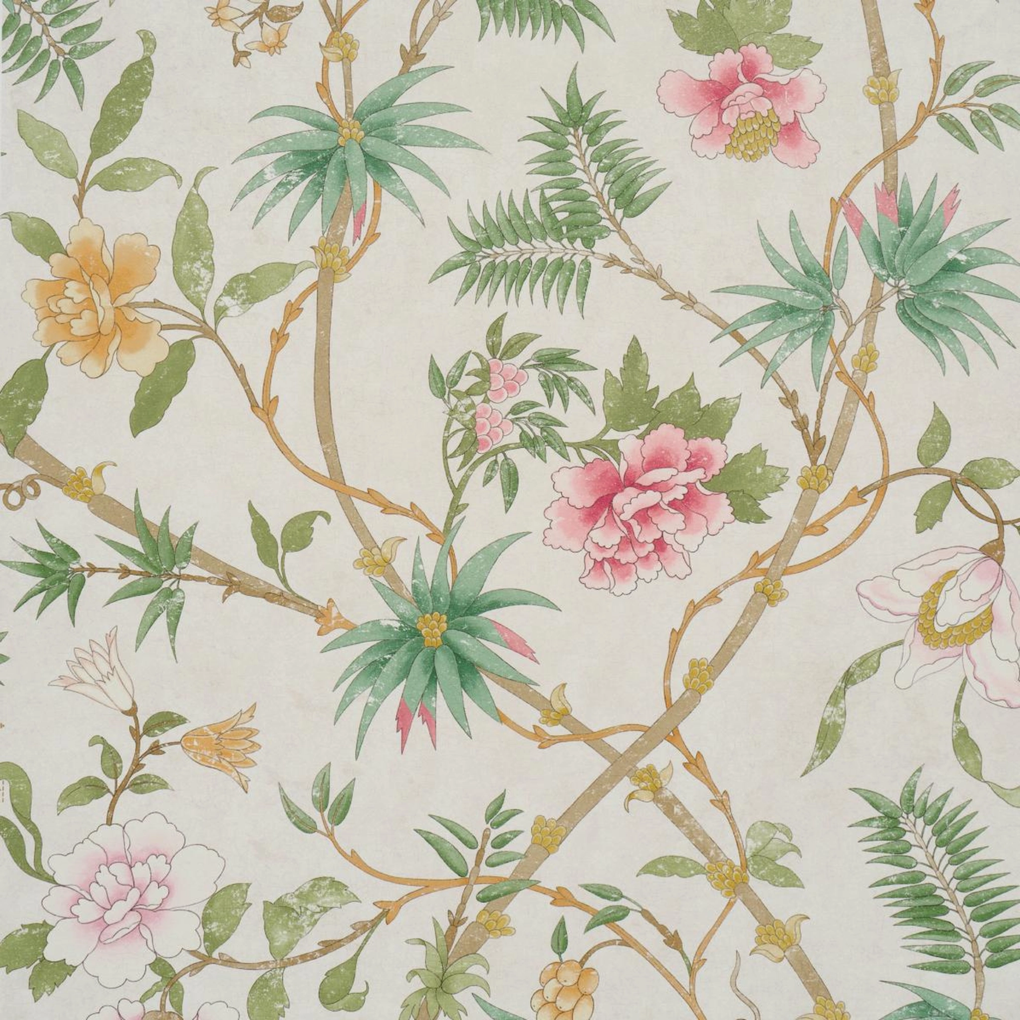 Arasi Botanical in Petal Wallpaper paper wall covering