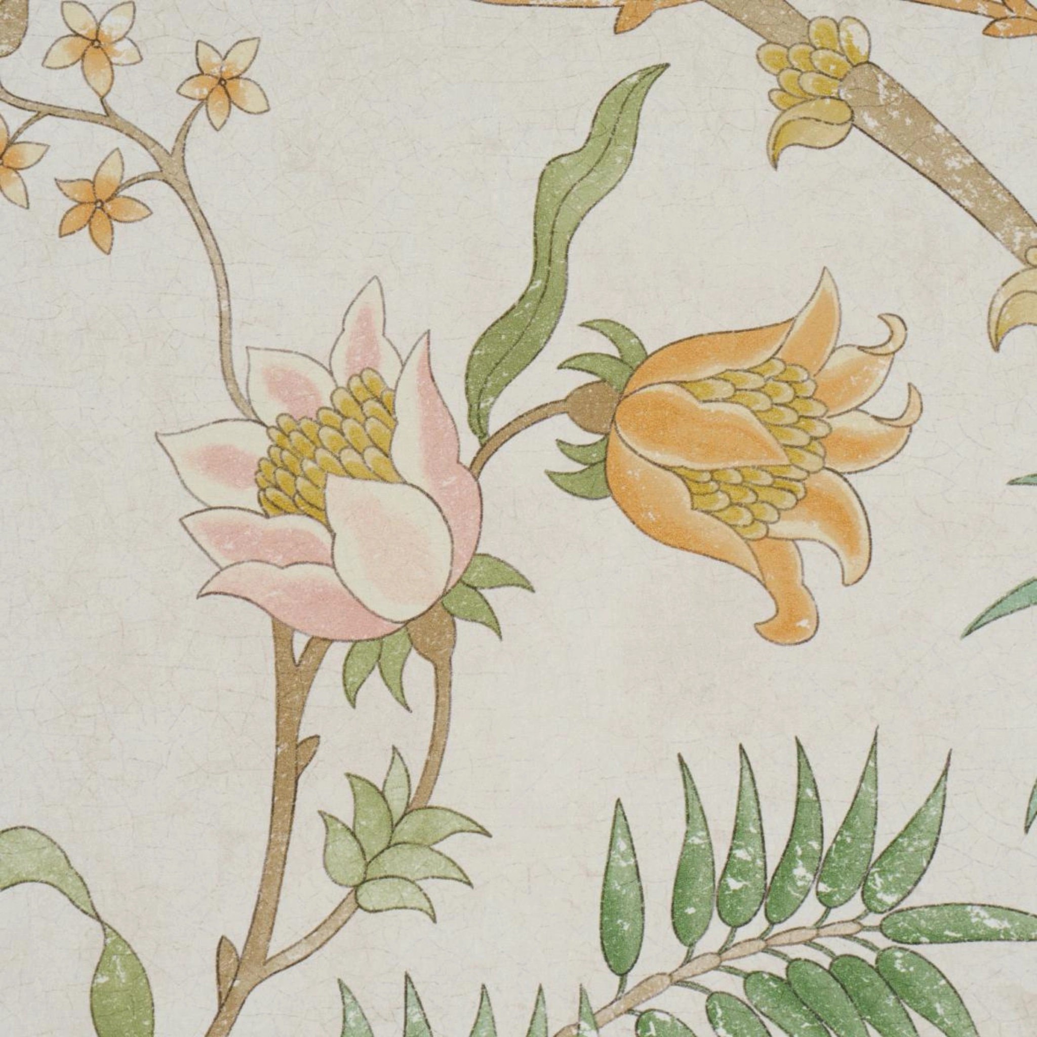 Arasi Botanical in Petal Wallpaper
