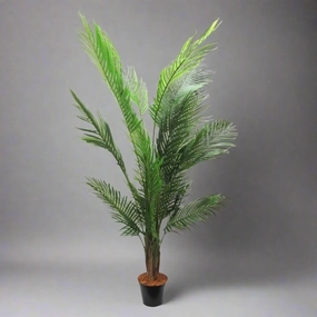 Areca Palm 6 decorative home ornament