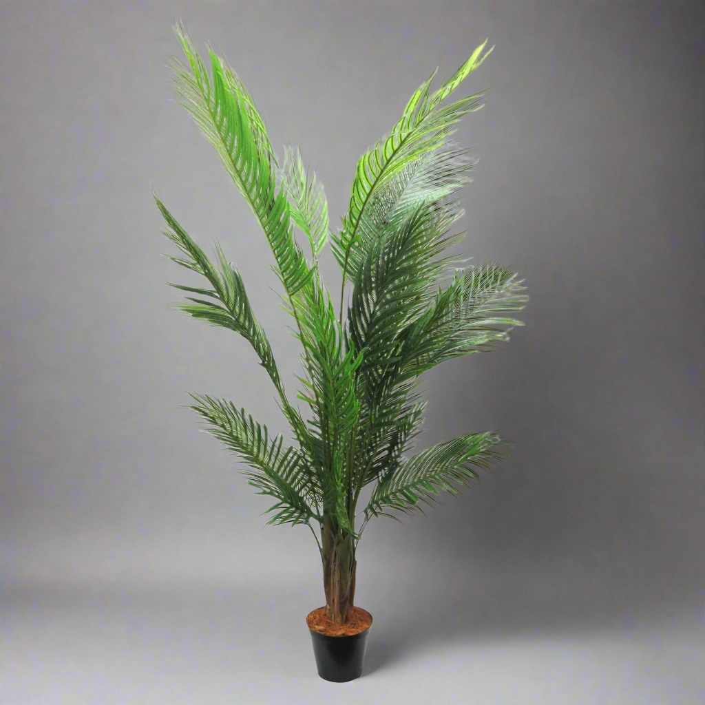 Areca Palm 6 decorative home ornament