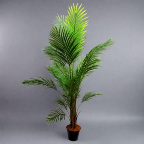 Areca Palm 7 decorative home ornament
