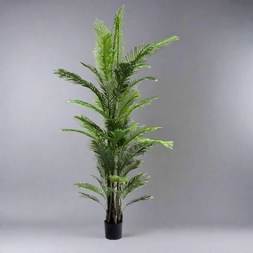 Areca Palm Magnifica decorative home ornament