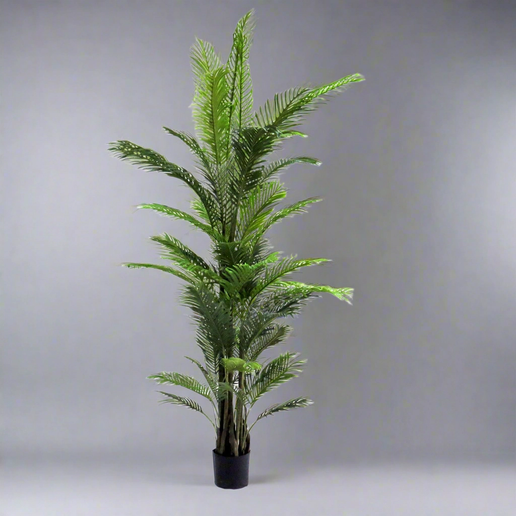 Areca Palm Magnifica decorative home ornament