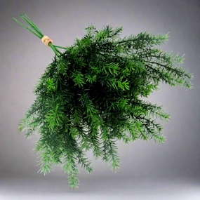 Asparagus Fern Bunch decorative home ornament