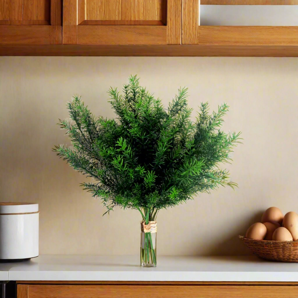 Asparagus Fern Bunch