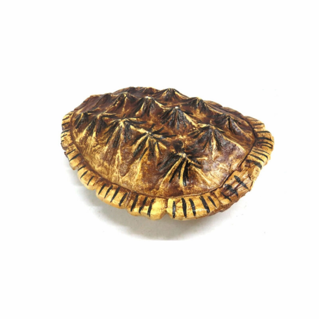 Balboa Tortoise