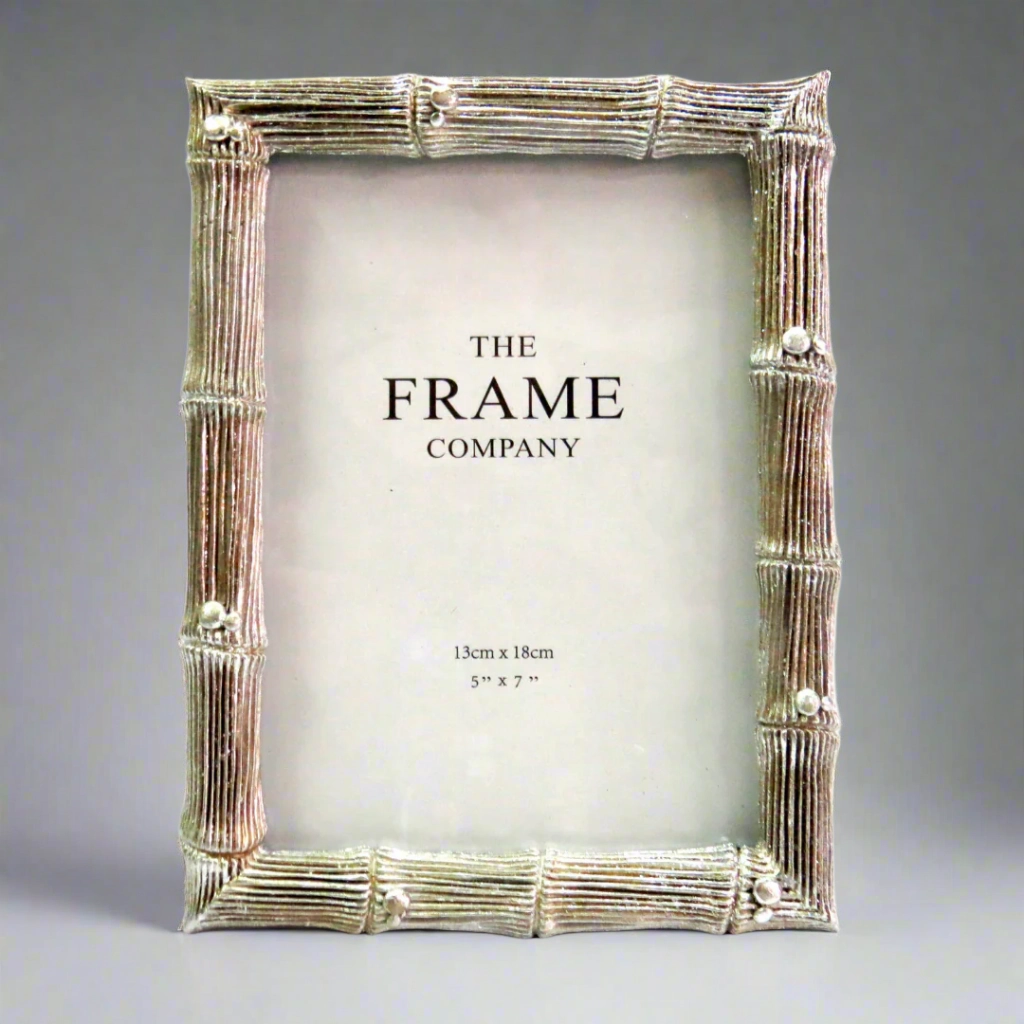 Bamboozle Silver decorative home ornament