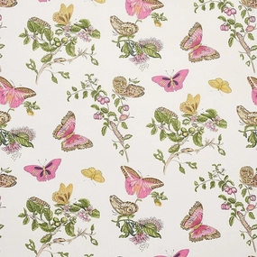 Baudin Butterfly Wallpaper in Blush paper wall covering