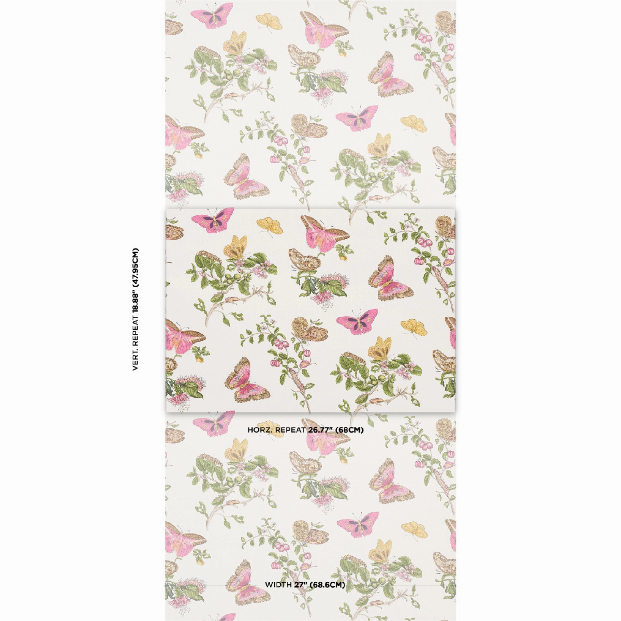 Baudin Butterfly Wallpaper in Blush