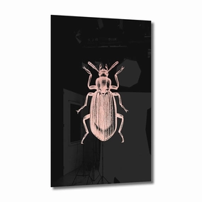 Beetle Ros on Acrylic framed mural artwork