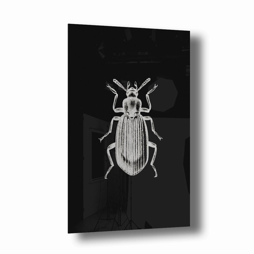 Beetle Silver on Acrylic framed mural artwork