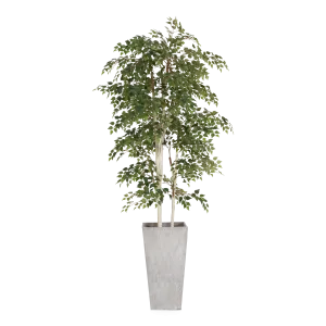 Birch Tree In Fiber Cement Planter creative interior decor