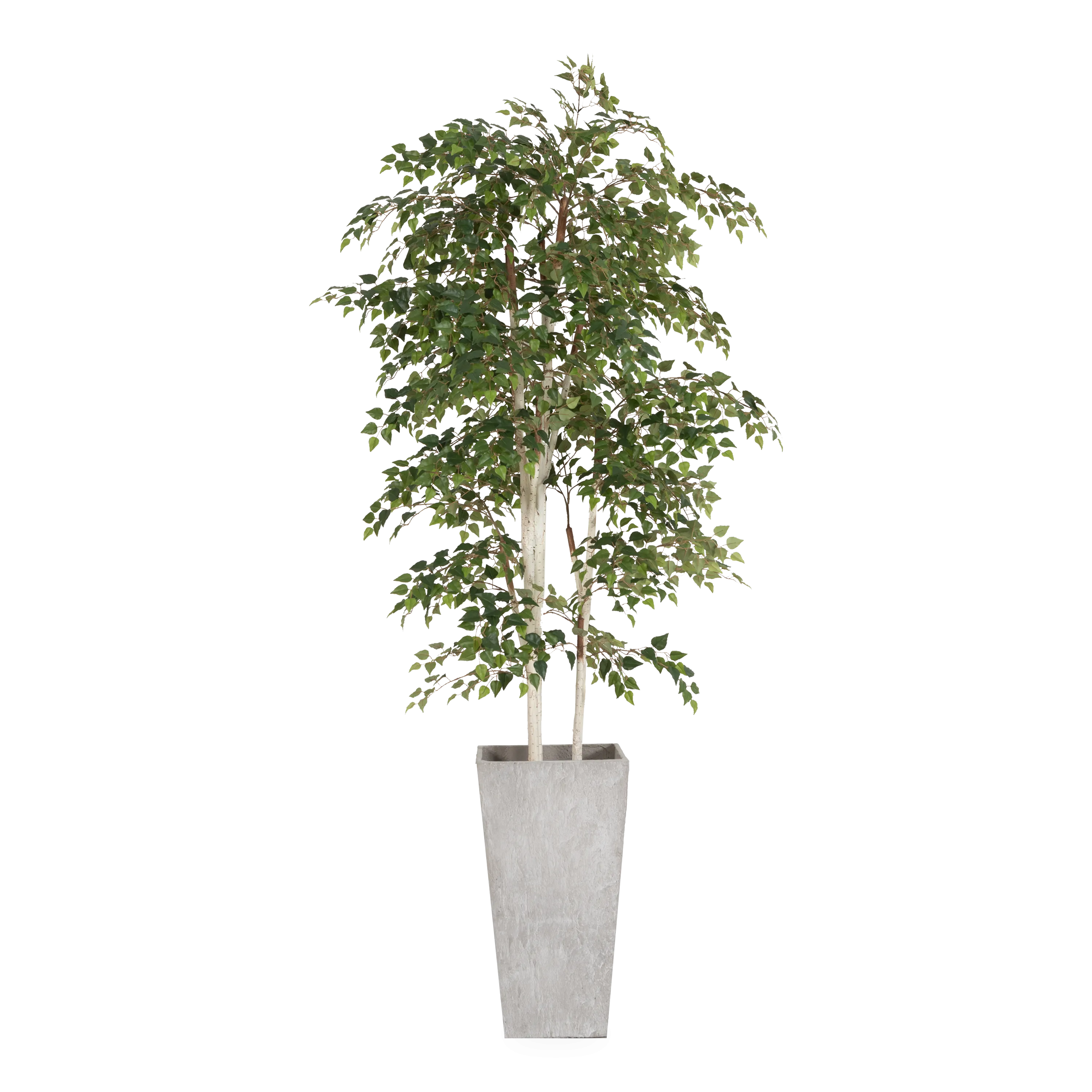 Birch Tree In Fiber Cement Planter creative interior decor