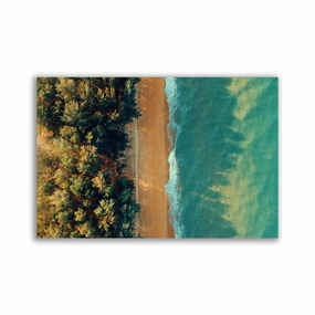 Birds Eye No 1 framed mural artwork
