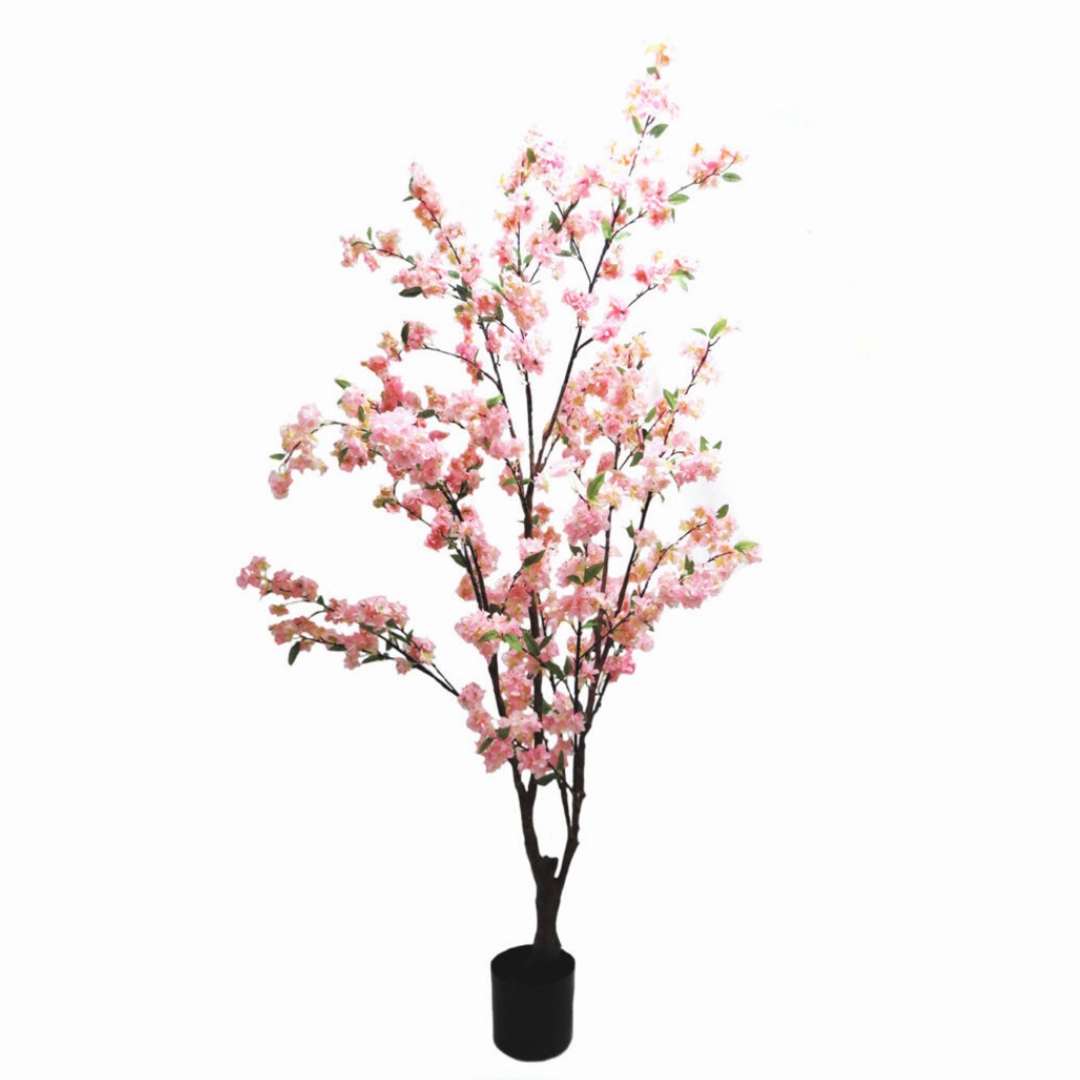 Blossom Tree