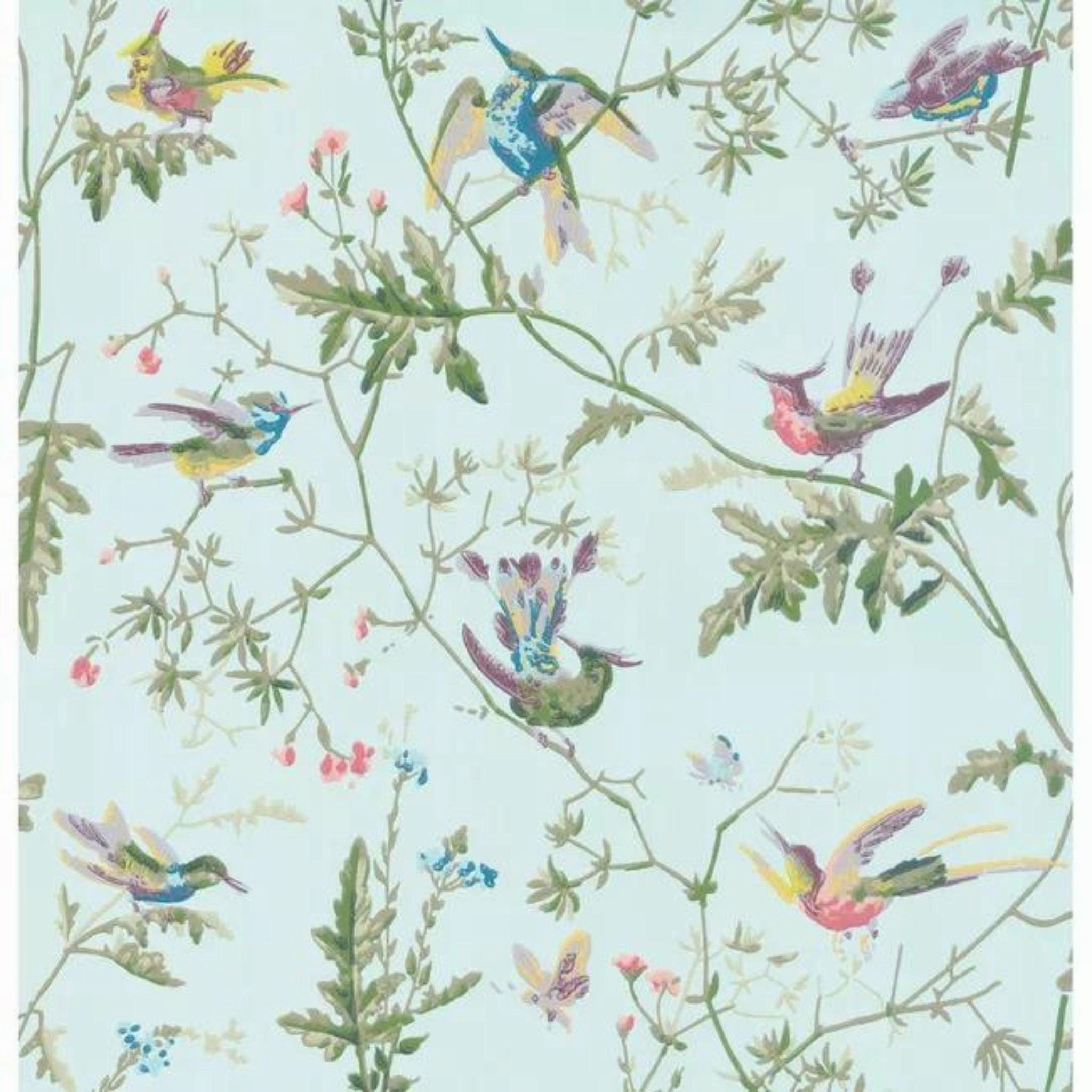 Blue Multicolor Hummingbirds Wallpaper paper wall covering
