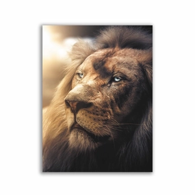 Boss Lion by Zenzdesign framed mural artwork