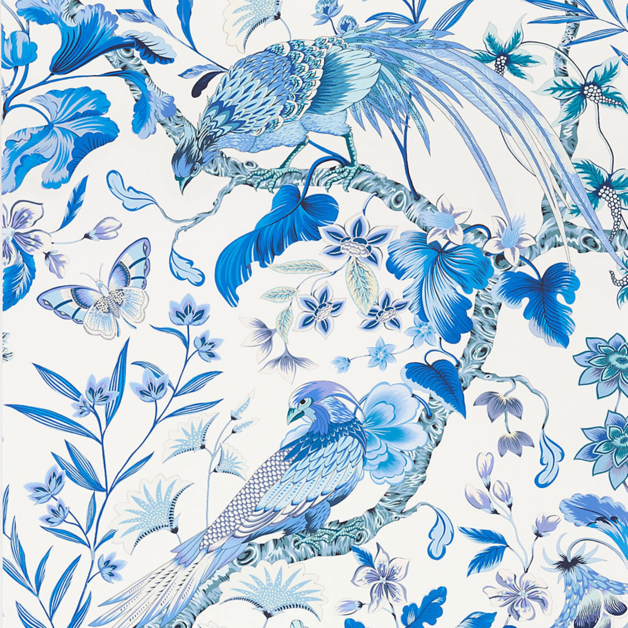Botany Bay Wallpaper