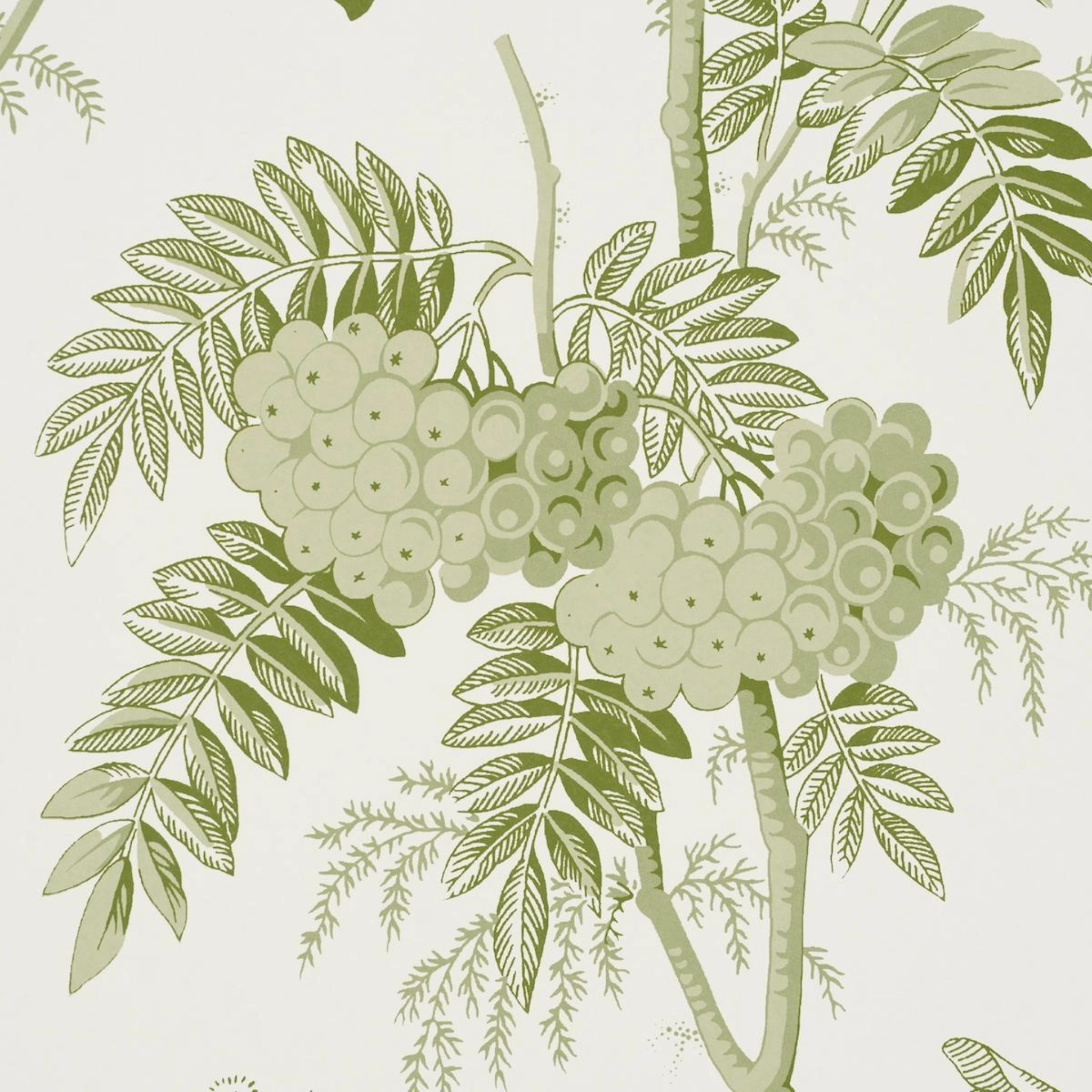 Brantwood Vine in Leaf Wallpaper