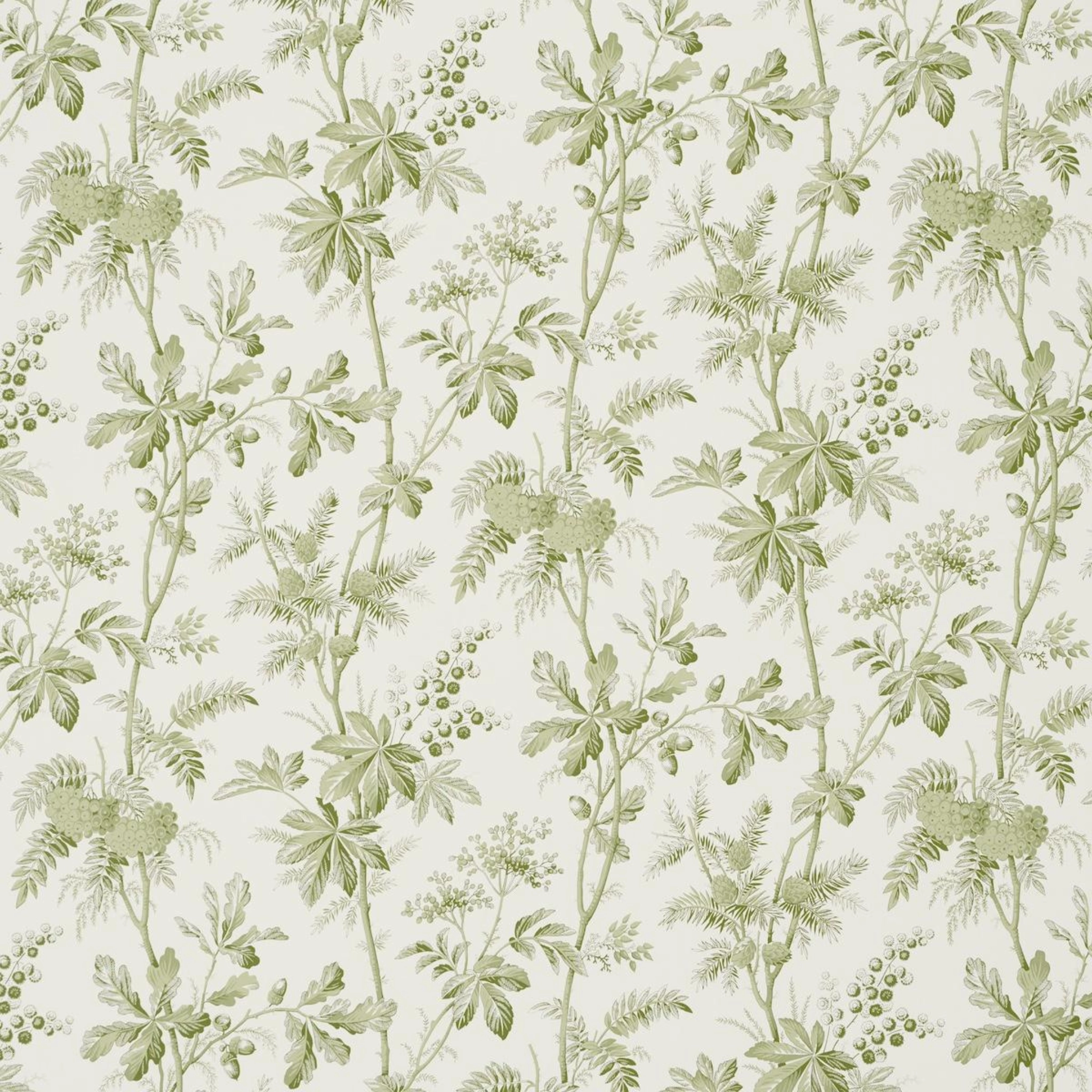 Brantwood Vine in Leaf Wallpaper paper wall covering