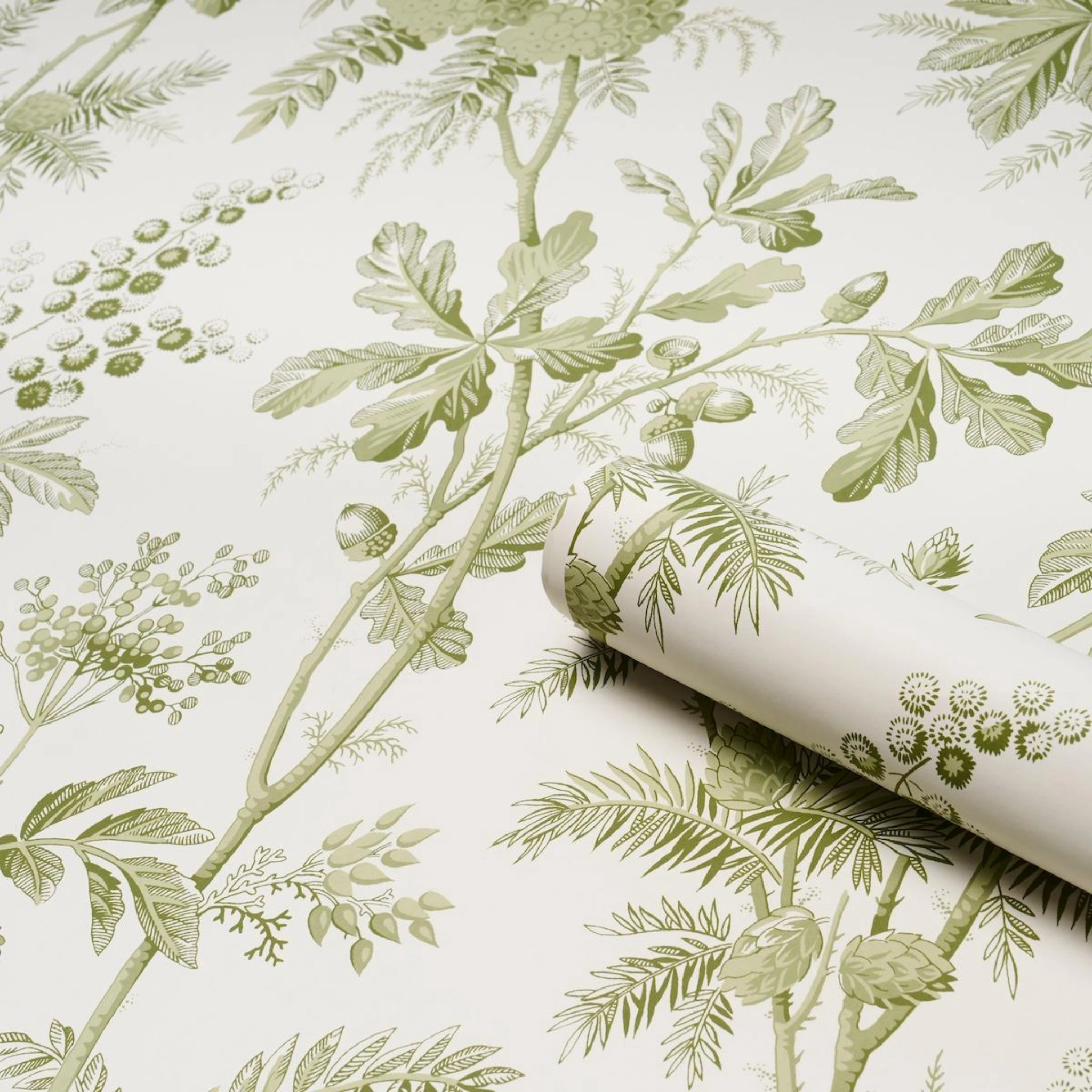 Brantwood Vine in Leaf Wallpaper