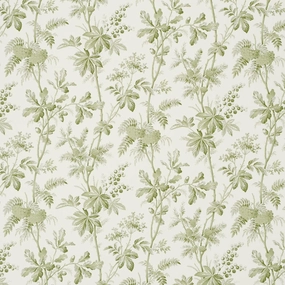 Brantwood Vine in Leaf Wallpaper paper wall covering
