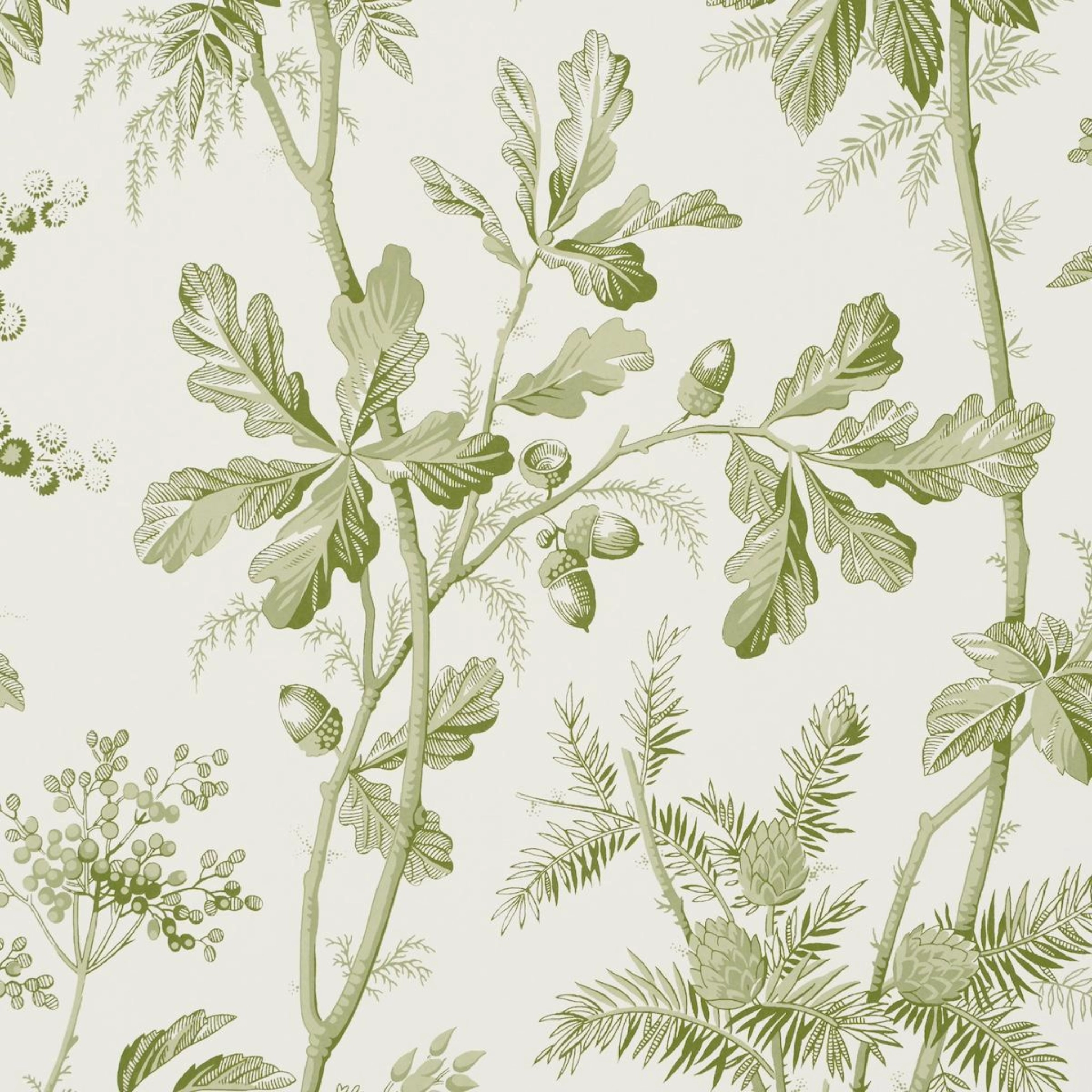 Brantwood Vine in Leaf Wallpaper