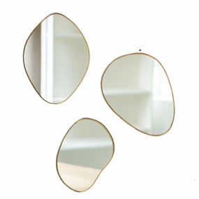 Brass Framed Organic Shaped Mirrors minimalist art object  
