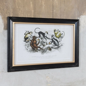 Brockby Monkey Wall Art 60cm modern mural painting