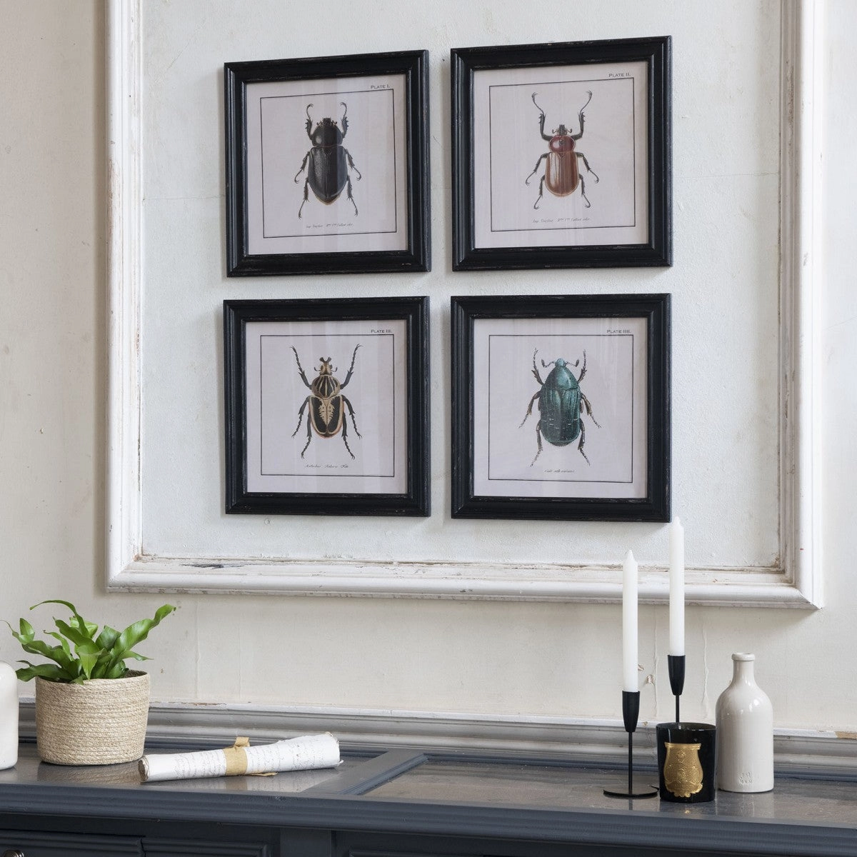 Brockby Set of Four Beetle Wall Art 38cm modern mural painting