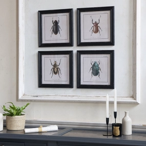 Brockby Set of Four Beetle Wall Art 38cm modern mural painting