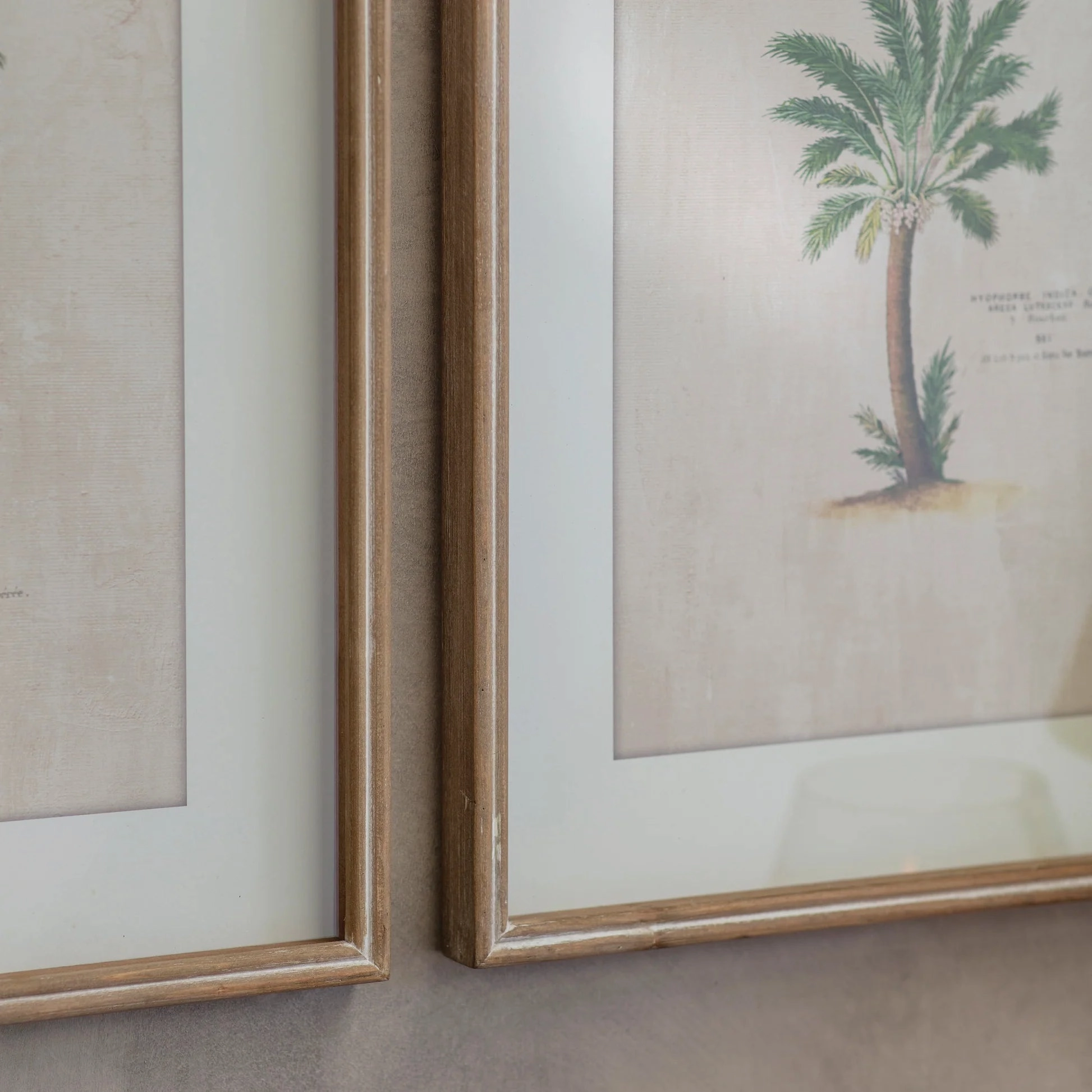 Brockby Set of Four Framed Tropical Wall Art 64.5cm