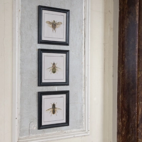 Brockby Set of Three Framed Bee Prints 38cm modern mural painting