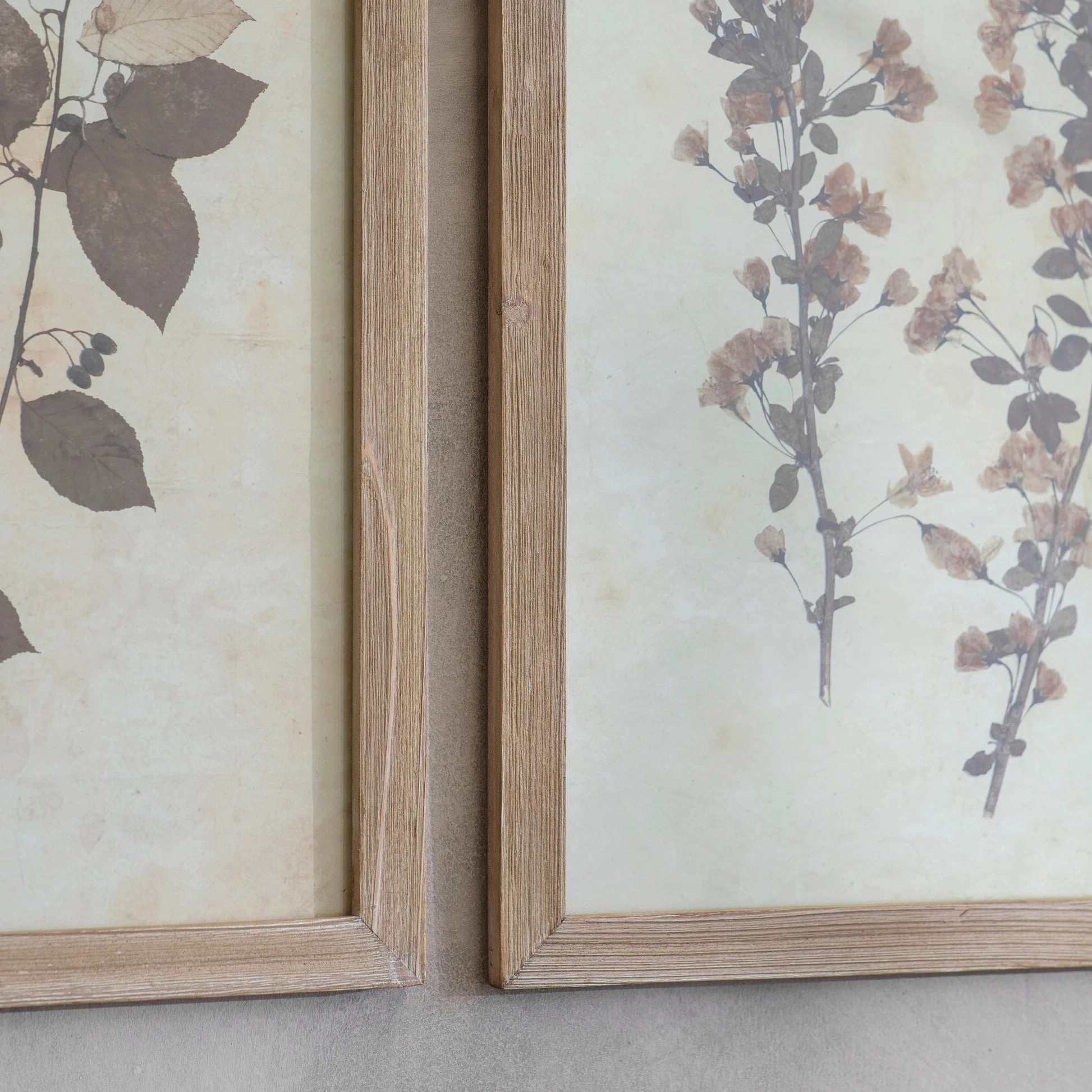 Brockby Set Of Two Leaf Prints in Wooden Frame 53.8cm