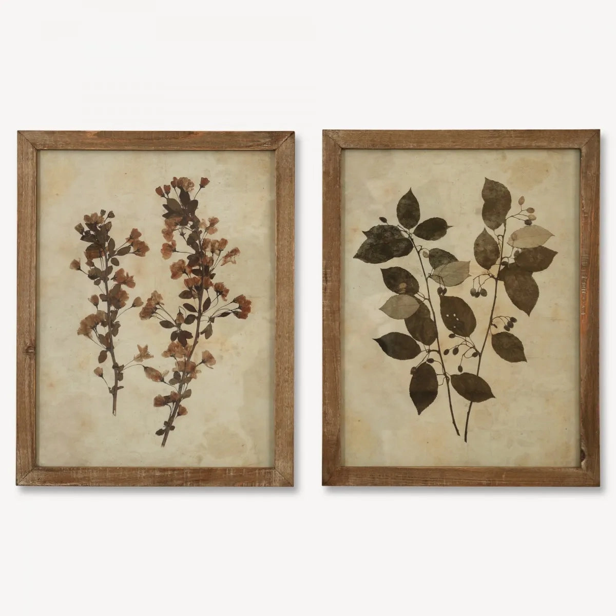 Brockby Set Of Two Leaf Prints in Wooden Frame 53.8cm
