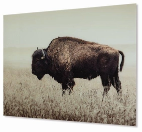 Brutus Wall Art modern mural painting