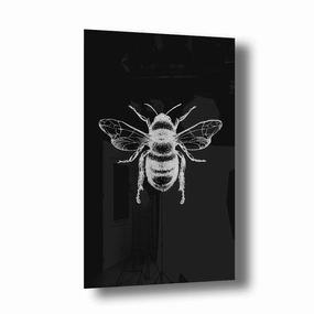 Bumblebee Silver on Acrylic framed mural artwork