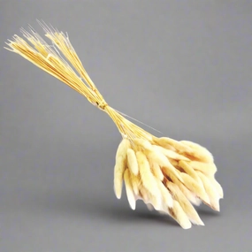 Bunnytails Bunch decorative home ornament
