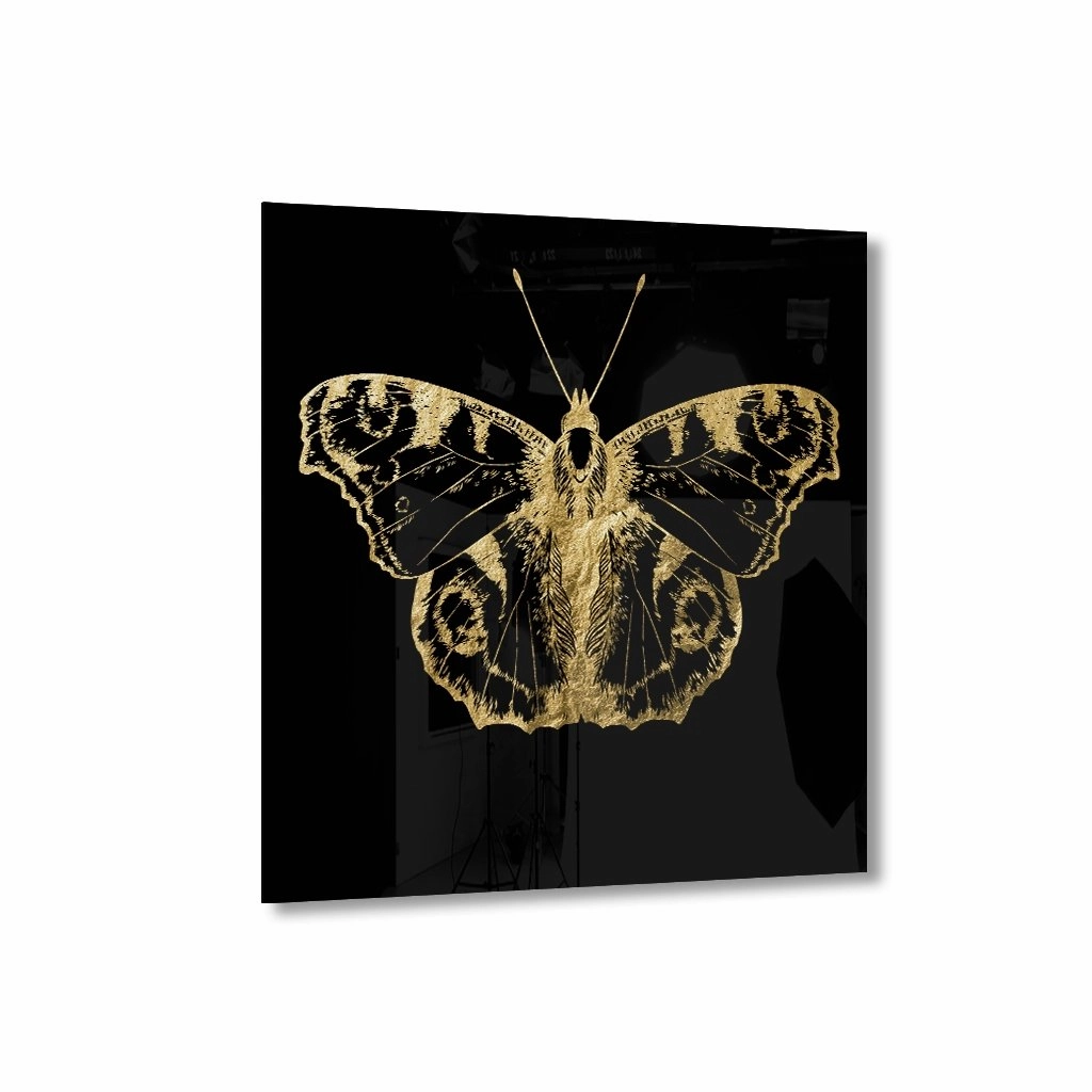 Butterfly Gold on acrylic framed mural artwork